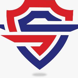 itprofessionals course